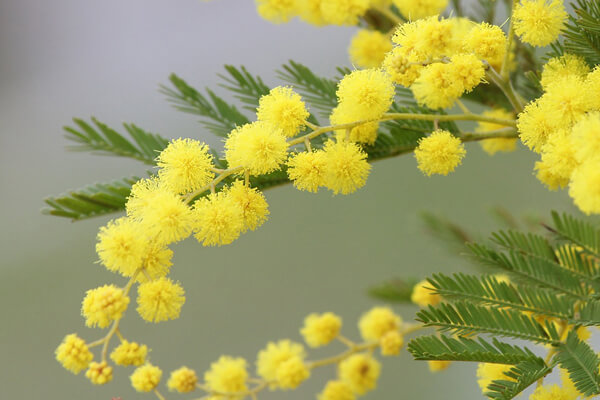 画像の説明 画像の説明