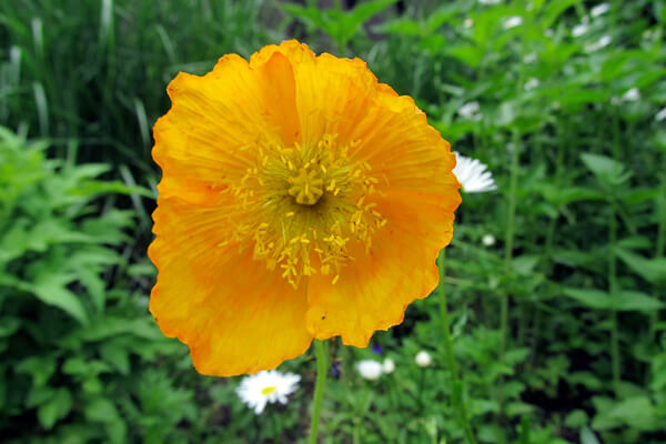 画像の説明 画像の説明