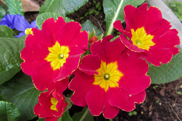 画像の説明 画像の説明